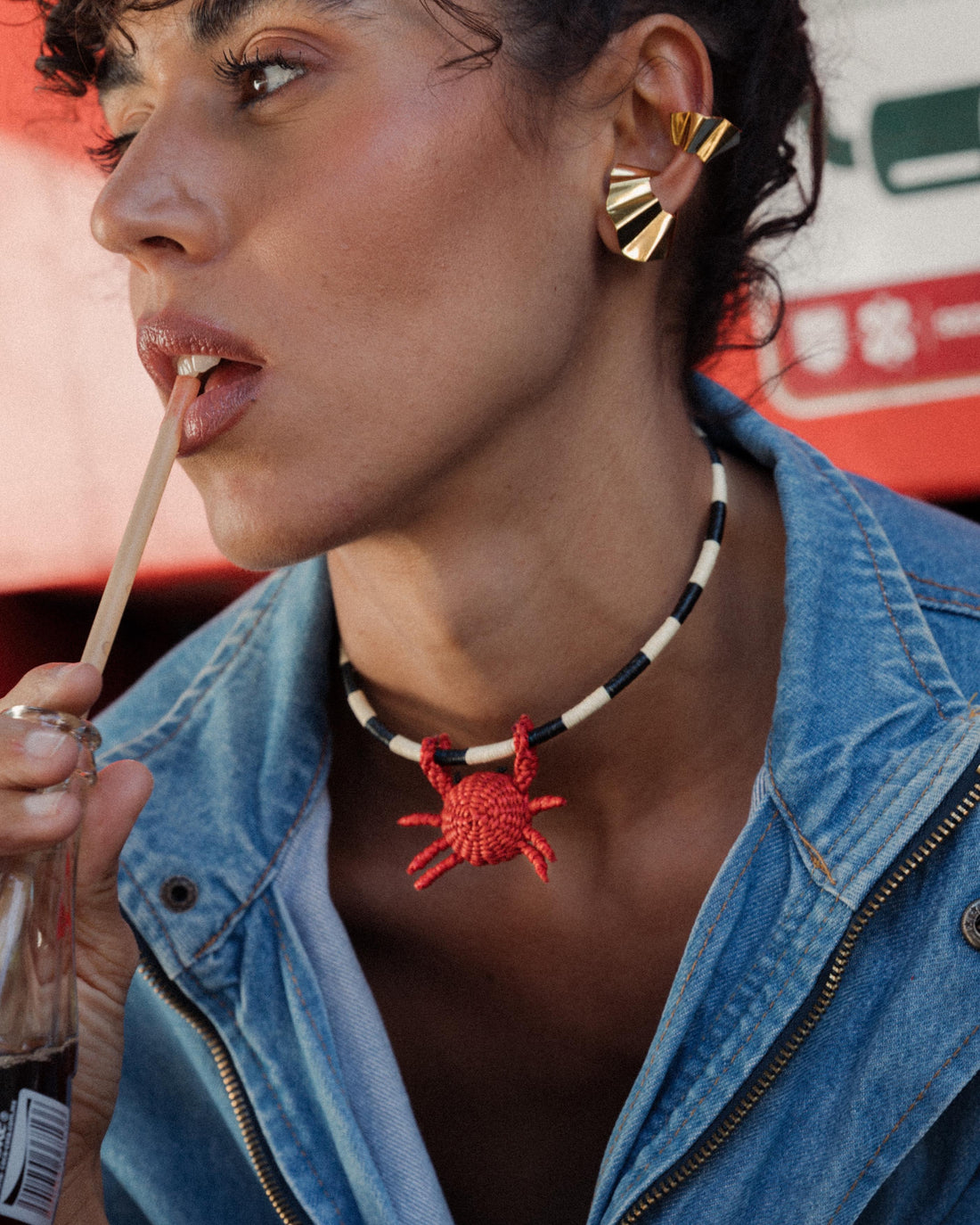 Clarte Choker Animal  + 1 Charm